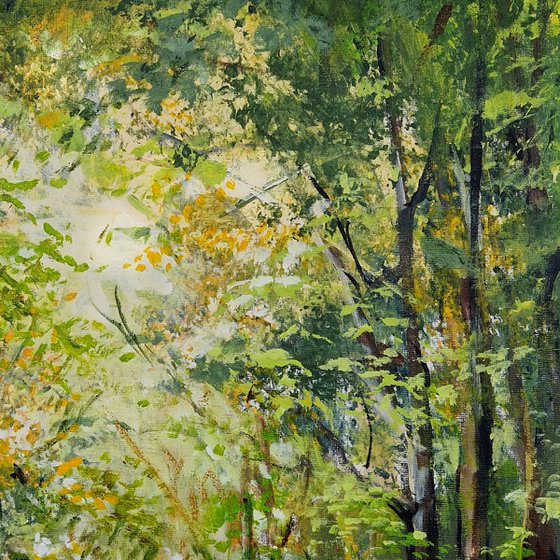 Between Leaves and Light