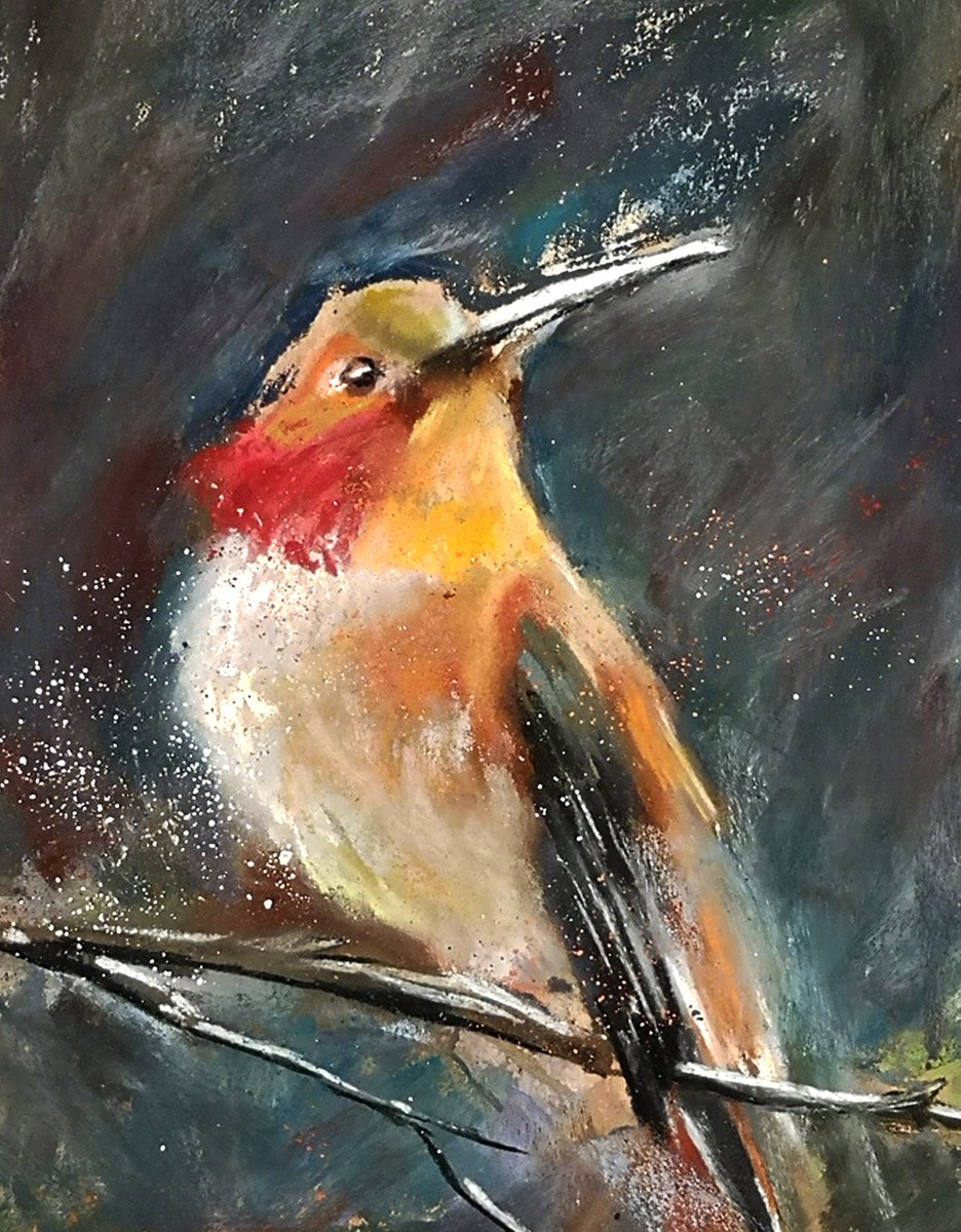 Impressionistic Animal Pastel Drawing By Olga Tchefranov (Shefranov), 11 X 14", Hummingbird On The Branch, Original Artwork