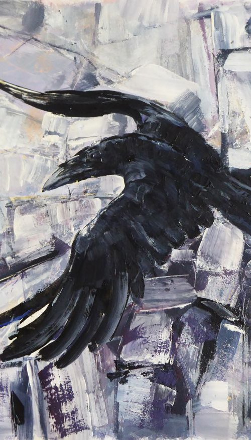 Raven, Quarry, Cumbria by John Sharp