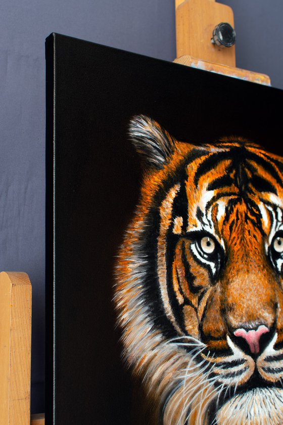 TIGER PORTRAIT