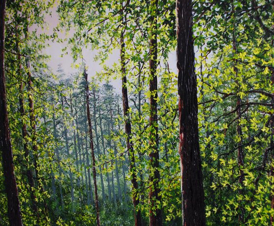 Deep Into Bluebell forest  92cm x 61cm