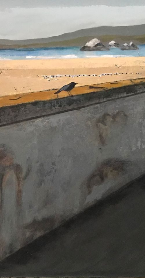 Bird at Ocean Beach by MaryAnne McKernie