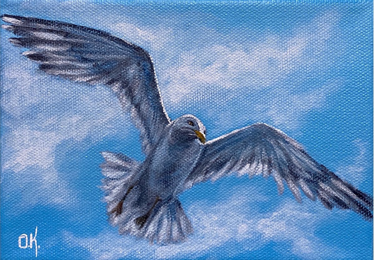 Seagull in the sky by Olga Kurbanova