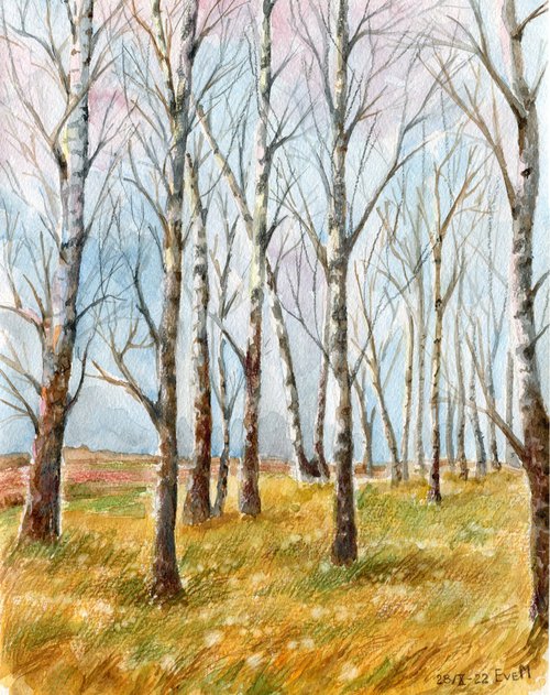 Autumn in a birch grove. Original watercolor artwork. by Evgeniya Mokeeva
