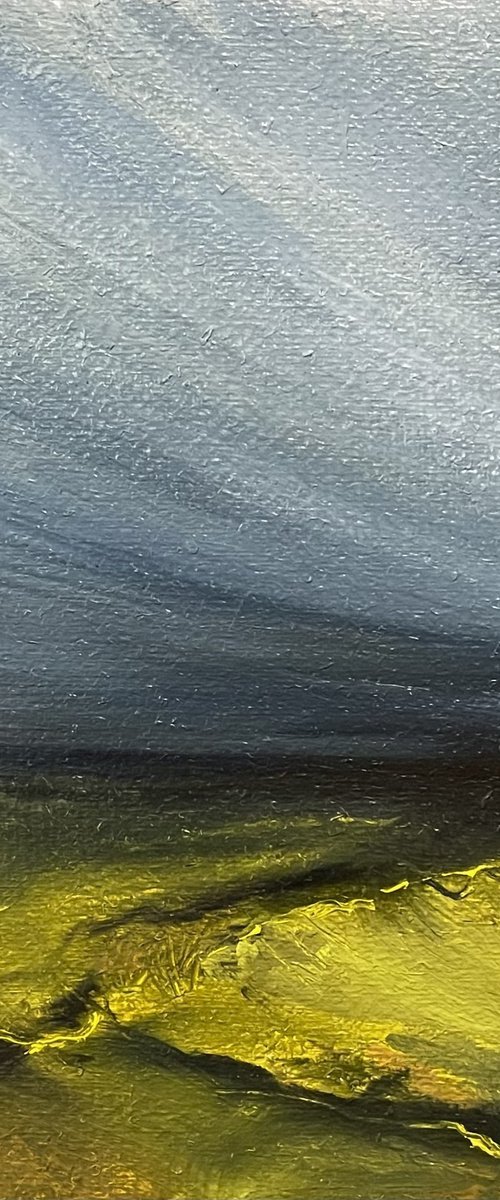 Summer storm II by Daiva Karaliute