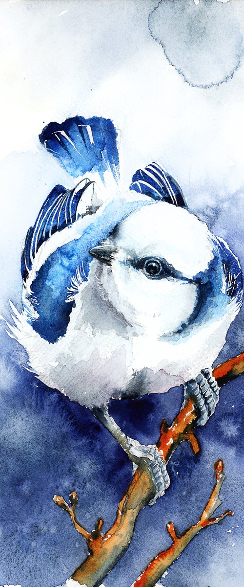 Azure Tit, wildlife, birds watercolours by Karolina Kijak