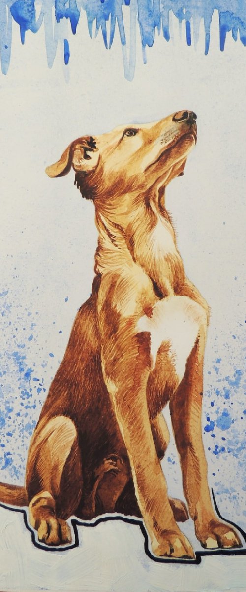 Dog by Kakajan Charyyev