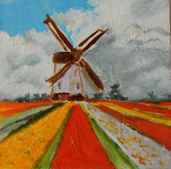 Tulip fields with wind mill in Holland.