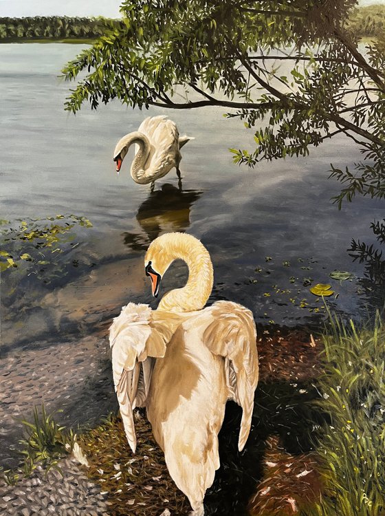 Swans at the Lake (50x40 cm)