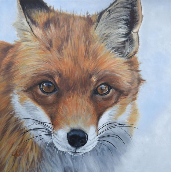 'Red Fox'