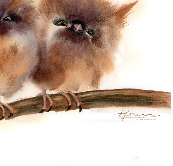 Two babies owl on the branch