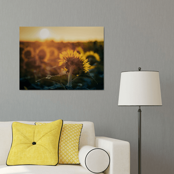 Golden Silence IV – Fading Glow