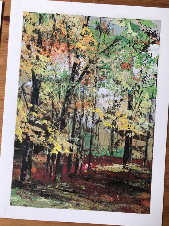 The Warmth of Autumn