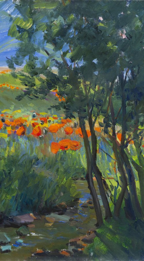 Summer Meadow Reflections by Artur Martirosyan