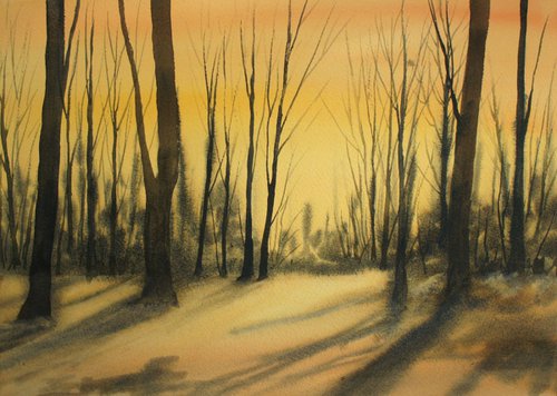Moody wood by Silvie Wright