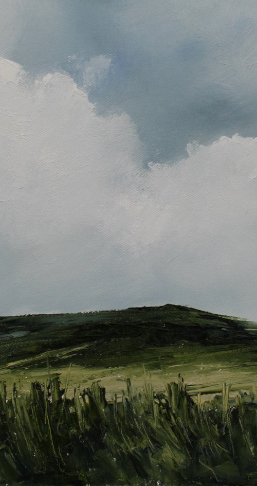 Grassland, Irish Landscape by John Halliday