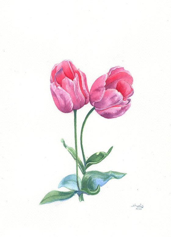 Whispering Tulips