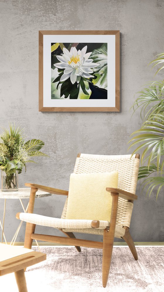 White Water Lilly