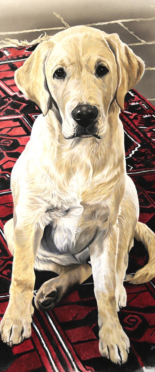 Olive by Julian Wheat