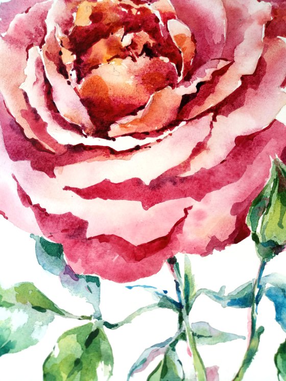 Red rose original watercolor artwork