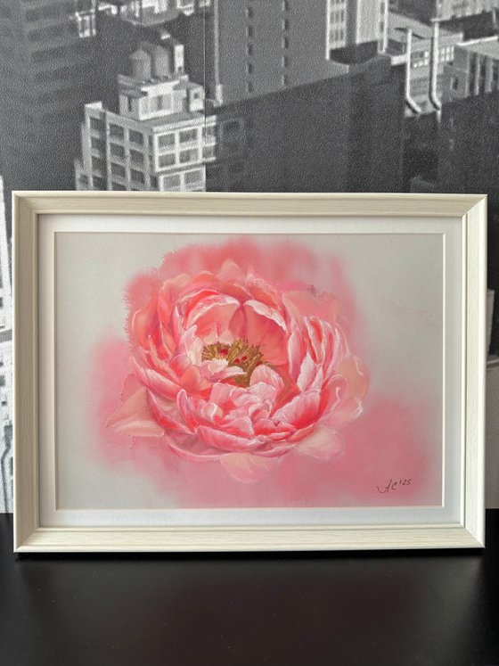 Pink Peony 1
