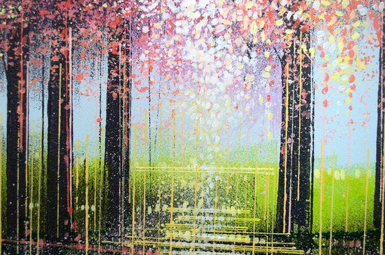 Light Through Spring Blossom Trees