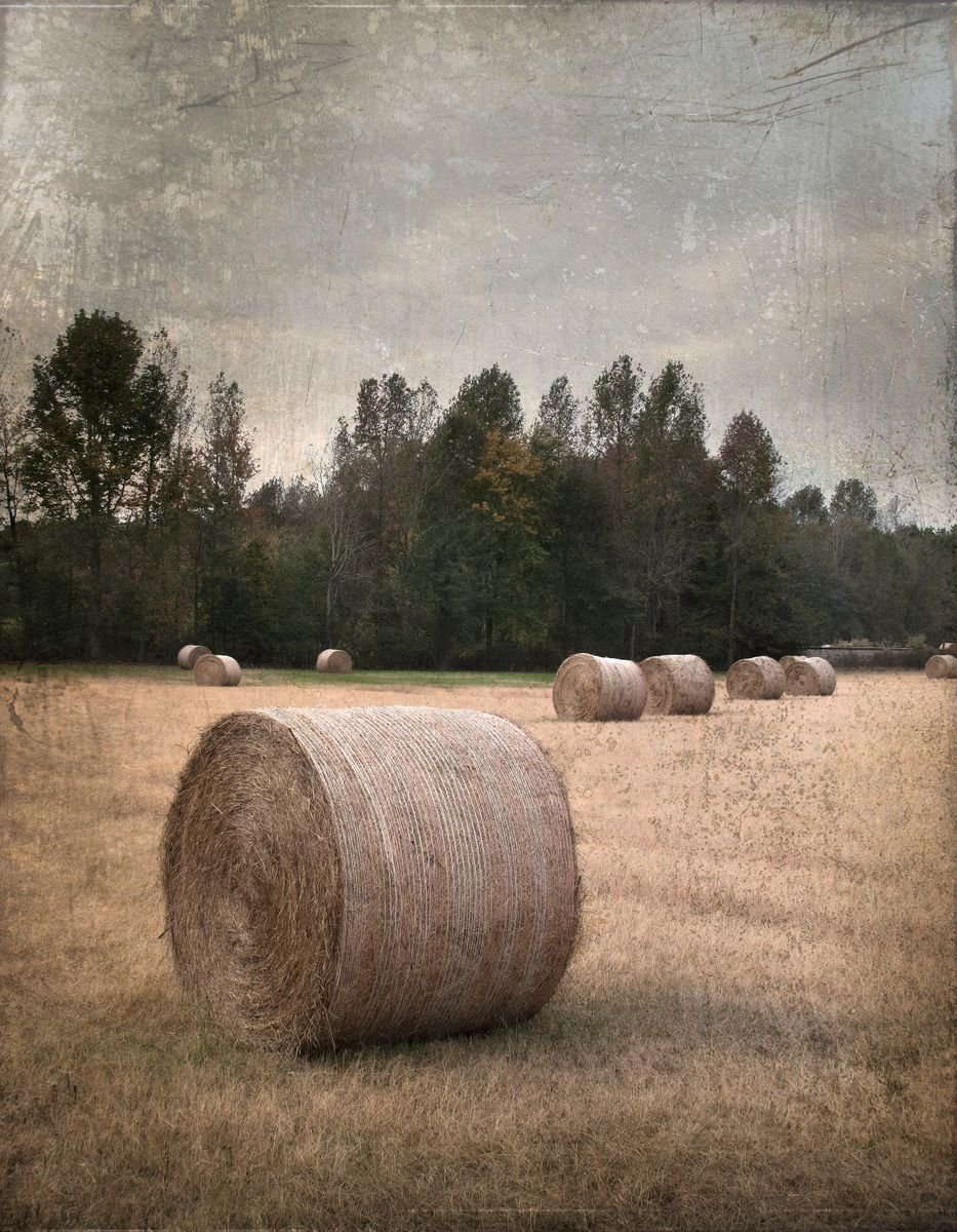 Untitled Hay Bales by Robert Tolchin