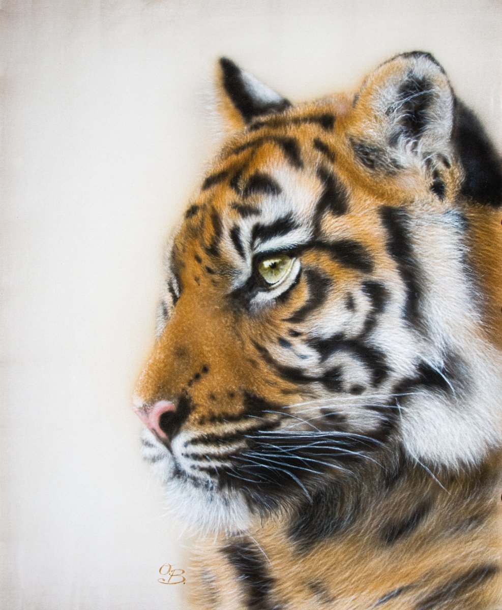 Probing look - Silk painting tiger portrait, realism, animals, wildlife, contemporary art by Olga Belova