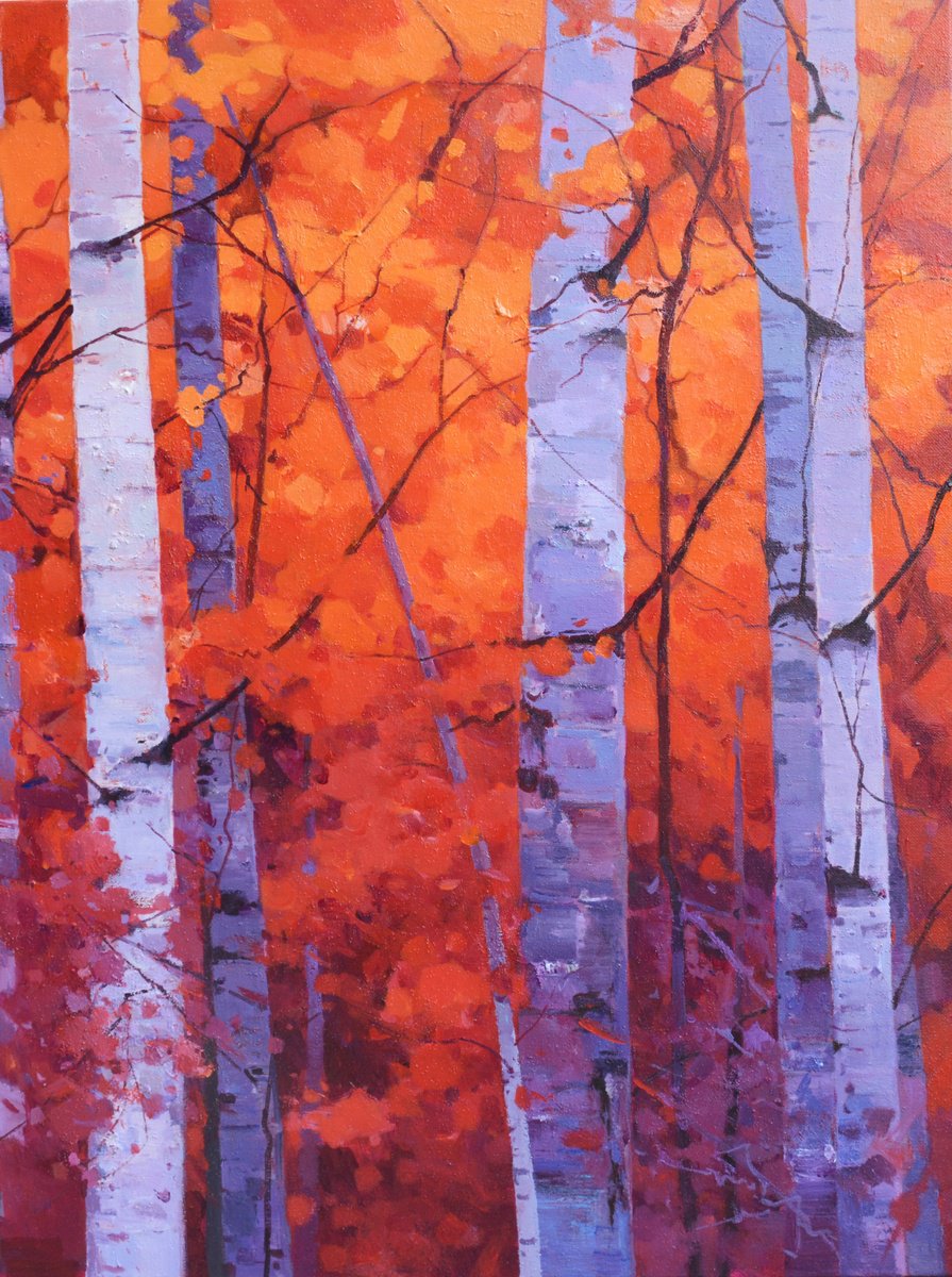 Birch trees forrest 072 by jianzhe chon