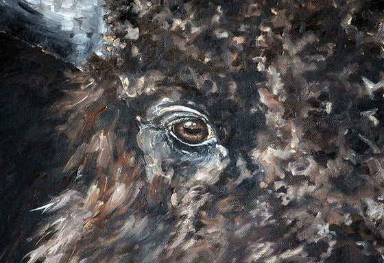 Wildlife - Buffalo - Bison - "Prairie Sentinel"