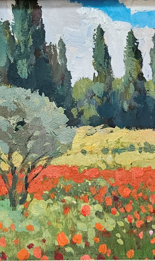 Olive Trees and Poppy Bloom. Landscape by Tatiana Hellum