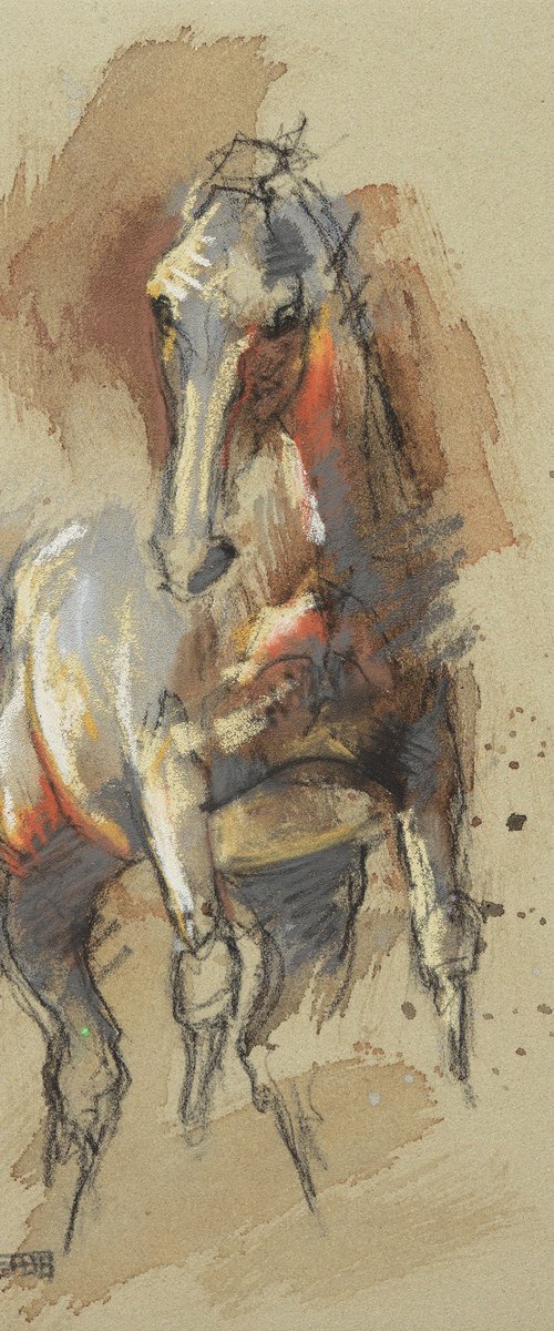 Equine Nude 298 by Benedicte Gele