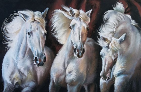 White horses