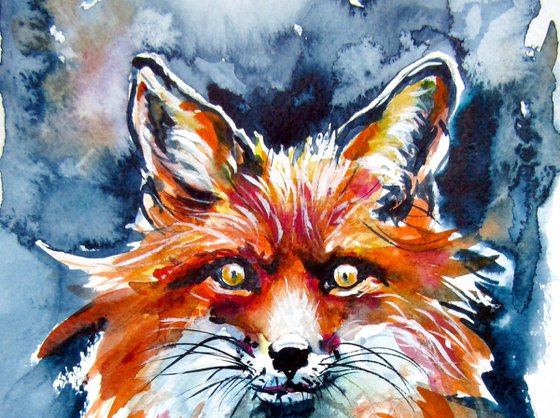 Red fox portrait