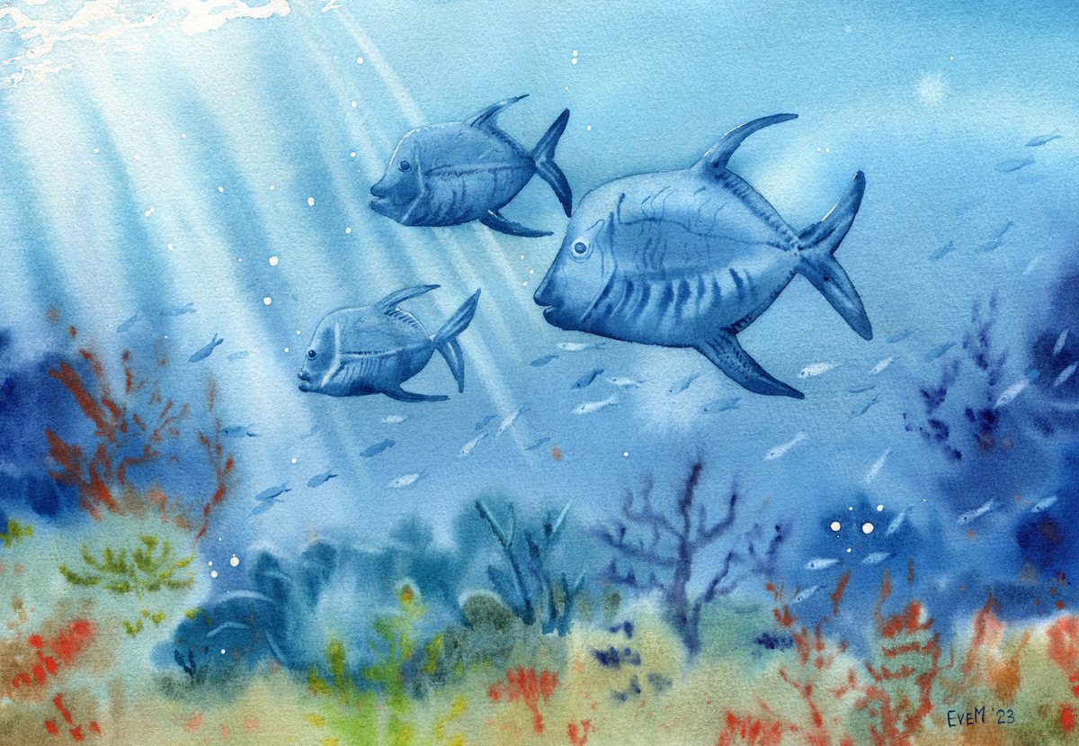 Marine fish underwater, coral reef life. Original artwork. by Evgeniya Mokeeva