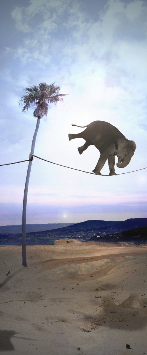 Elephant High Wire by Vanessa Stefanova