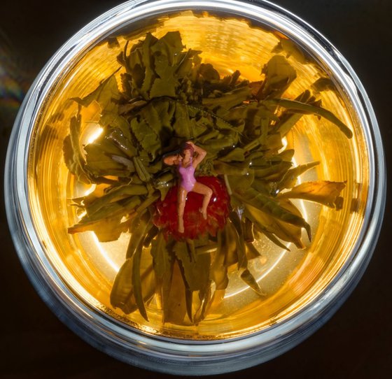 Blooming Flower Tea Sunbathing