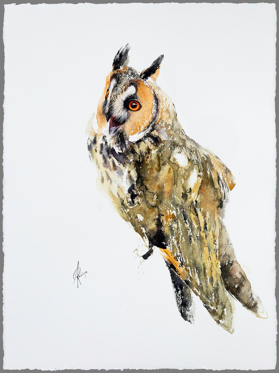 Long-eared Owl Watercolour By Andrzej Rabiega | Artfinder