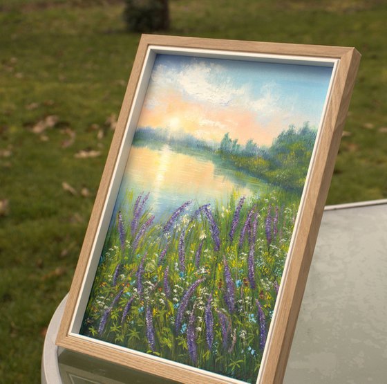 Sunset at the bluebonnet meadow