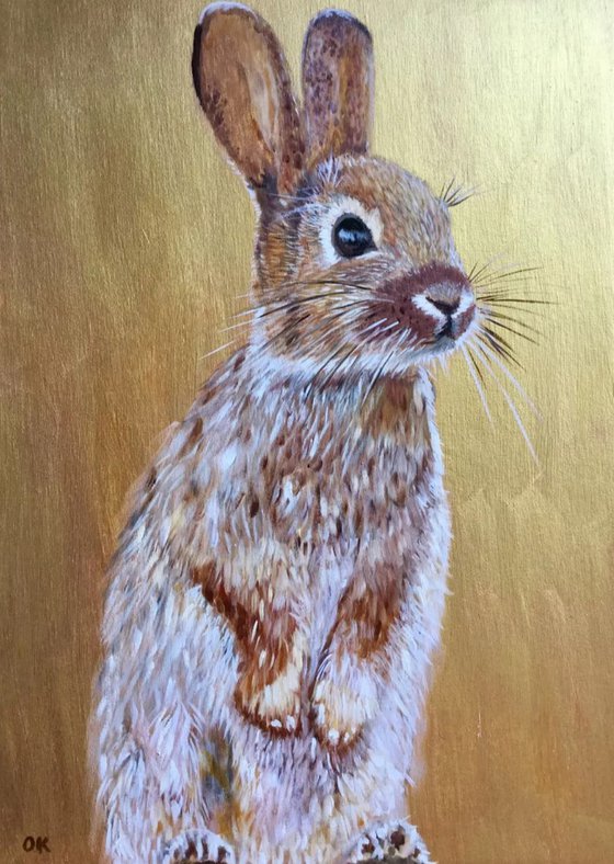 Rabbit