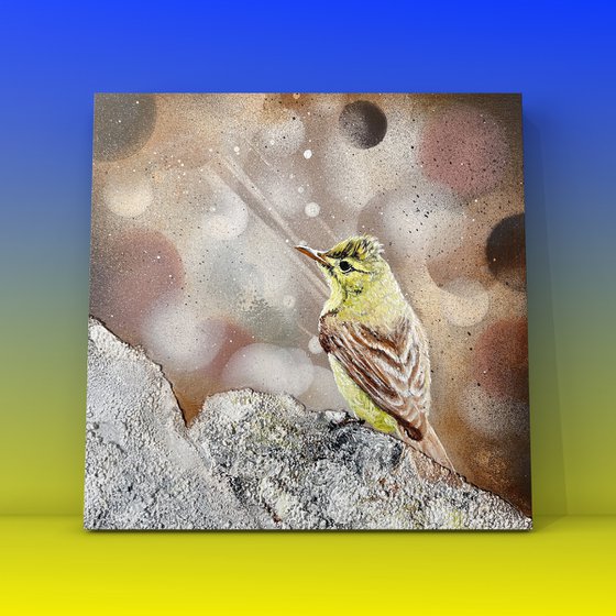 Bird #10 (icterine warbler)