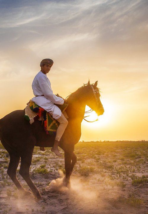 Last Light, Oman by Basel Almisshal