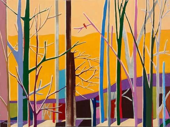 Mr. Cardinal In A Pre Dawn Glow