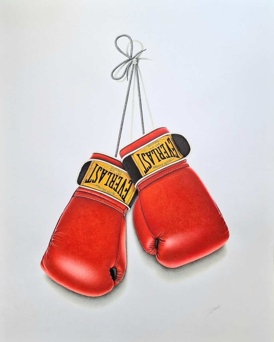Photorealistic Still Life Pencil Drawing By Daniel Shipton, 23 X 30, So You Want To Be A Boxer, Original Artwork