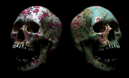 Skull Flora by Sumit Mehndiratta