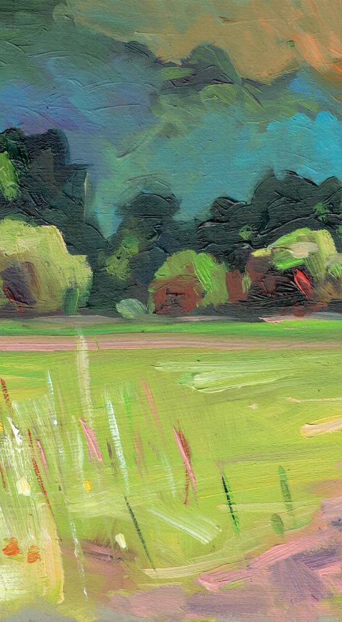 Castle Meadows, Abergavenny.   No.19 of 365 Project by Louise Collis