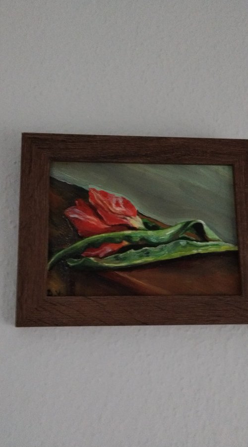 Tulip still life by Viktória Déri