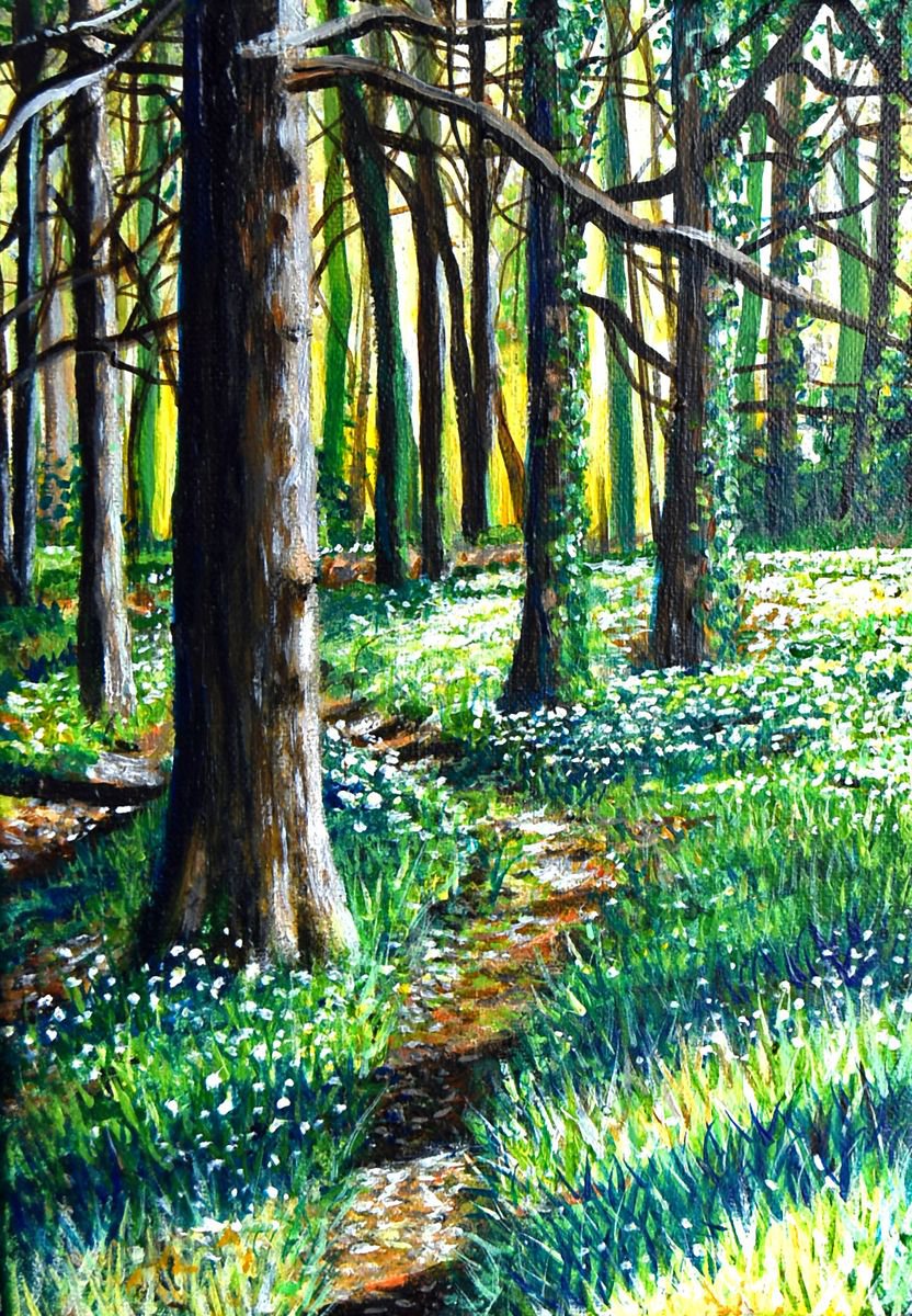 Sunset Spring woods by Linzi Fay