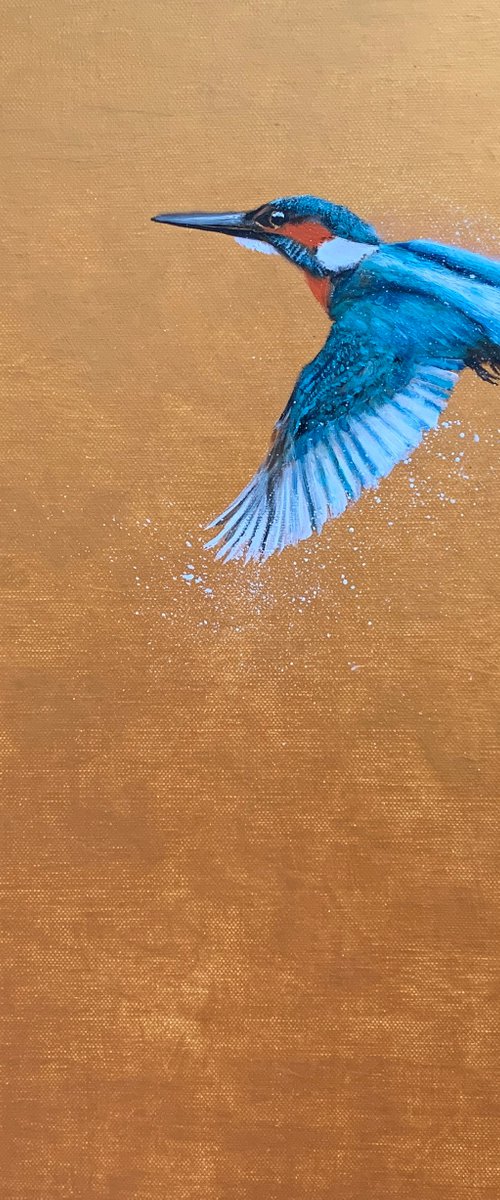 Flight Of The Kingfisher II by Laure Bury