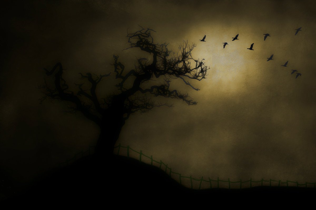 Surrealistic Landscape Giclee Print By Martin Fry, 21 X 15", The Dead Tree, Original Artwork